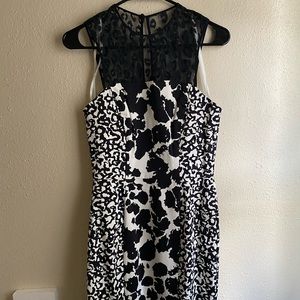 French Connection Leopard Print Mini Dress Sz 6